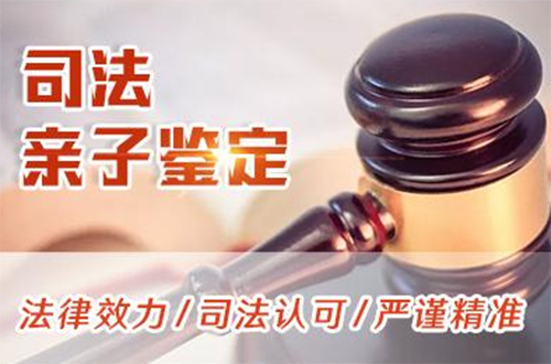 台州司法DNA亲子鉴定出结果要多久,台州司法DNA亲子鉴定哪里可以做